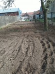 IMG_20210401_161621.jpg