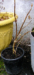 P3050017.gif