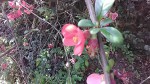 IMG_20210407_121424.jpg