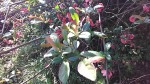 IMG_20210407_121433.jpg