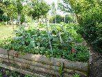 Bacs de la partie du jardin potager &quot;moyen-âgeux&quot;