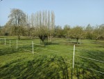 arboretum.jpg