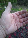 IMG_20210420_170944.jpg