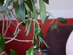 20090307_0080.JPG