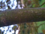 20210426_211235.jpg