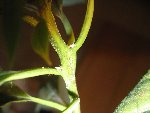 IMG_1356.JPG