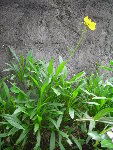 DSCN4143.JPG