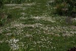 DSC03792.jpg