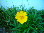 DSCN4146.JPG
