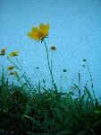 DSCN4147.JPG