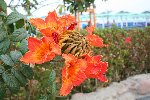 Sinai_2009-98.JPG