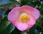 DSC08747.JPG