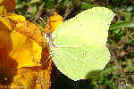 DSC08833.JPG