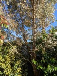 PXL_20210426_163003898.jpg