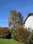 PXL_20210512_162038019.jpg