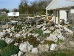 P1000977 (Custom).JPG