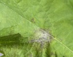 IMG_6918 1.jpg