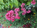 IMG_6052.jpg