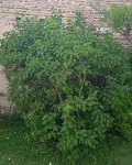 IMG_20210531_194231-min.jpg