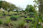 jardin1.jpg