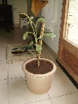 IMGP0539.JPG