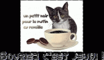 café jeudi chat.gif