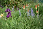 DSC04096.jpg