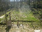 Resize of 13 03 09.jpg