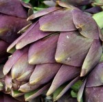 Artichaut violet de Provence.jpg