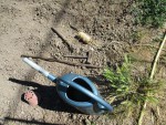 Planter des piquets de tomates hauts.jpg