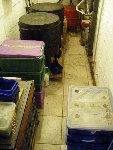 IMGP0125.JPG