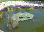 IMG_20210626_223244.jpg