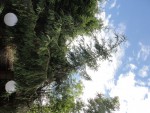 DSC00234.jpg