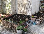 IMG_34360.jpg