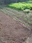 IMG_20210702_091146.jpg
