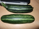 courgettes-1.JPG