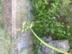 1C19DFF7-A6B7-440A-A3B1-C5AEE701FC3F.jpeg