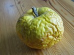 DSC00255.jpg