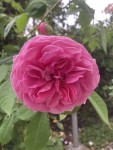 IMG_3782-min.jpg