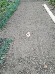 IMG_20210729_113551.jpg