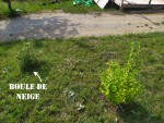 IMG_20210810_180759.jpg