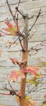 SmartSelect_20210815-222456_Gallery.jpg