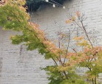 SmartSelect_20210815-222445_Gallery.jpg