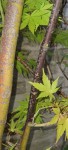 SmartSelect_20210818-200946_Gallery.jpg
