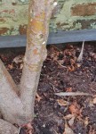 SmartSelect_20210818-200931_Gallery.jpg