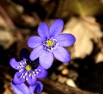 DSC00859.JPG