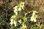 DSC00864.JPG
