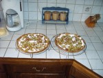 Les tartes à la rhubarbe.