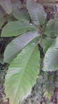 20210619_200811.jpg