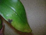 DSC00059.JPG